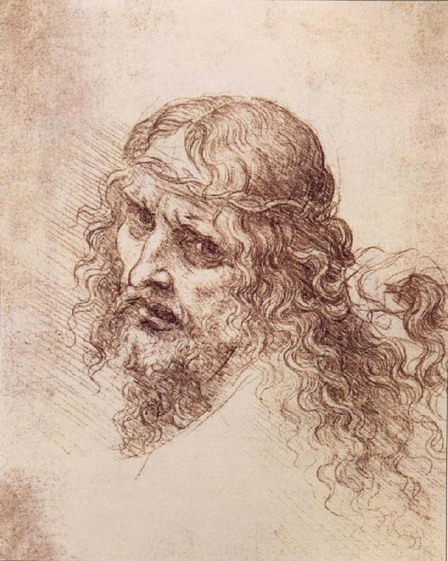 LEONARDO da Vinci Head and shoulders Christs Sweden oil painting art